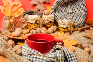 Natural homemade treats autumn season keep healthy. Hat scarf and honey natural sweets in jars near mug of tea background covered fallen leaves. Autumnal beverage with homemade natural sweets