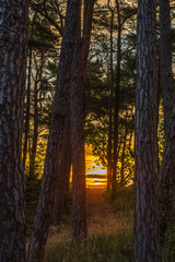 At the end of the path, the sun rises