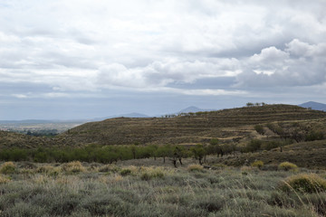 An Spanish Aragonese landscape taken during autumn with some clouds, orchard trees and mountains