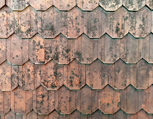 old shingles