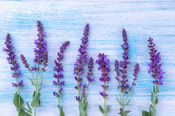 Beautiful lilac field flowers arranged in a row on a blue wooden background. top view