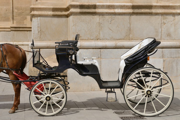 Fototapeta na wymiar horse harnessed to an old carriage