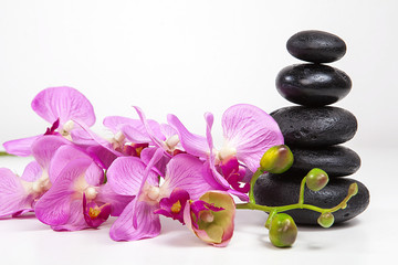 Fototapeta na wymiar pembe orkide ve spa taşları