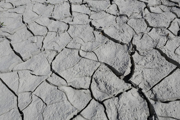 A closeup of a dry cracked grey clay soil during a hot sunny day in the Mediano artifical lake in the Spanish Aragonese Pyrenees