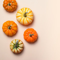 Different Colorful Pumpkins, Autumn Thanksgiving and Halloween Background