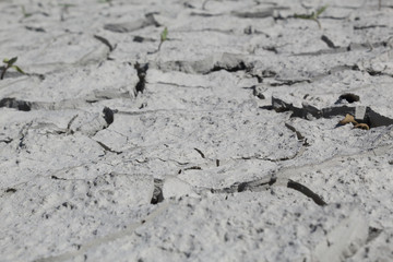 A closeup of a dry cracked grey clay soil shot in perspective during a hot sunny day in the Mediano artifical lake in the Spanish Aragonese Pyrenees