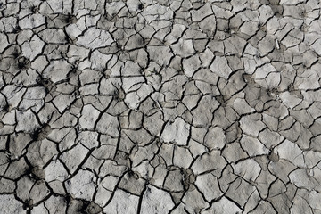 Dry cracked grey clay soil shot vertically with some dog footprints during a hot sunny day in the Mediano artifical lake in the Spanish Aragonese Pyrenees