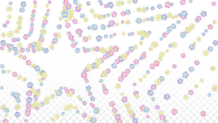 Vector Realistic Colorful Petals Falling on Transparent Background.  Spring Romantic Flowers Illustration. Flying Petals. Sakura Spa Design. Blossom Confetti. Design Elements for Wedding Decoration.