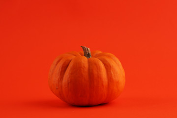 pumpkin on a orange background. Autumn harvest
