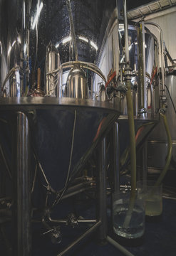 Stainless tanks for fermentation in a beer brewery.