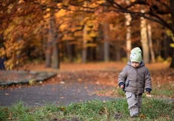 Dziecko spacerujące w parku jesienią i żółte liście na drzewach.