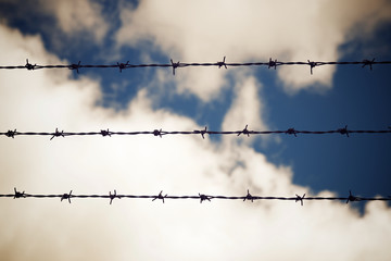 Barbed wire fence