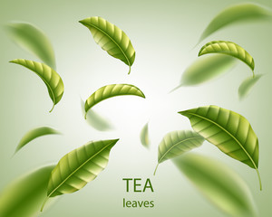 Realistic tea leaves background. Green leaves tea whirl in the air for design, advertising and packaging. Vector illustration.