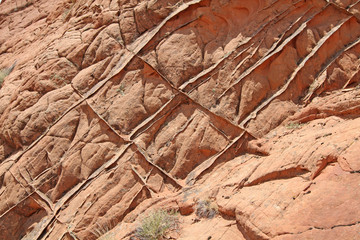 Lace Rock, Buckskin Gulch, Utah, USA