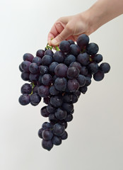Serve a delicious black grape - a hand with a bunch of grapes