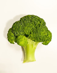 A small trees in a fresh and green broccoli