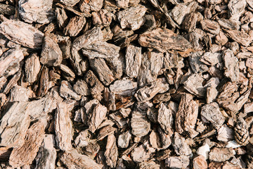 full frame shot of pieces of wooden bark for background