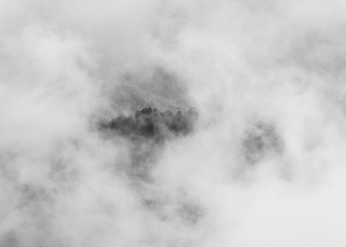Fototapeta Trees on hilltop through clouds, black and white photography