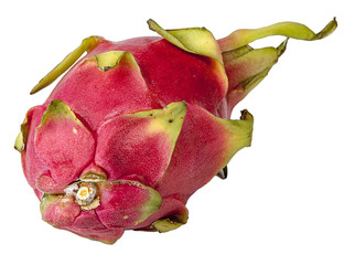 Fresh pitaya fruit on a white background