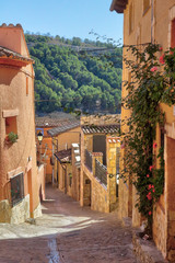 A sloped street in the typical Spanish town Anento, with some stone houses and a climbing rose plant