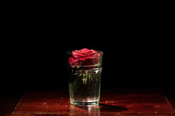 Rose falling inside water black background