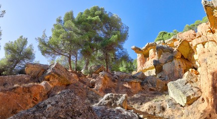 A protruding red rock with trees and a deep blue sky in the canyon style hills of Anento, a small town in Aragon, Spain