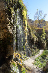 A small waterfall covered with moss next to a path in backlight during autumn in the Aguallueve rural park in Anento, Aragon, Spain