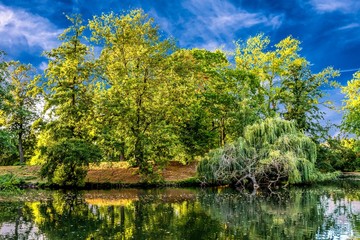 Spiegelung bunte Bäume im See im Herbst