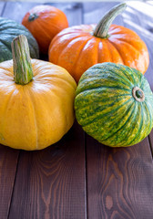 Variety Of Pumpkins