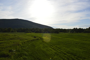 Obraz premium landscape with green field and blue sky