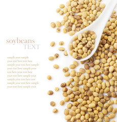 Soybeans in a white ceramic spoon