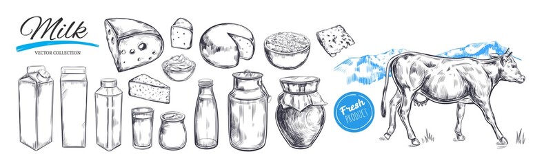 Dairy products vector collection. Cow, milk products, cheese