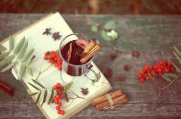 Mulled wine,open book on the wooden bench  over autumn background