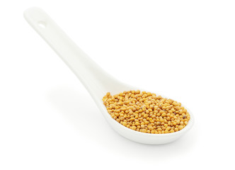 Mustard seeds in a white ceramic spoon
