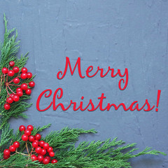 Fototapeta premium merry christmas card
