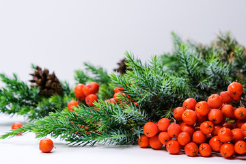Fototapeta na wymiar Rowanberry, Red Berries, Spruce Branches. Christmas and New Year's Decor. Bright Natural Holiday Composition White Background Copy Space Concept Of Winter Time