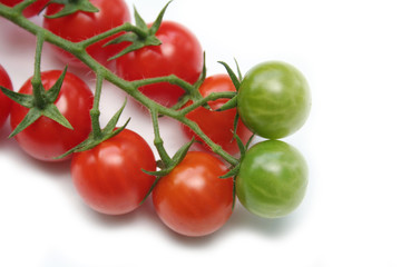 Red and green cherry tomatoes on branch isolated on white background
