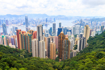 Obraz premium Hong Kong Skyline View From Victoria Peak