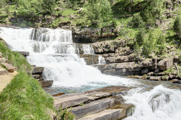 A rural landscape with Araza River waterfalls in the the pines and firs forest, with the Monte Perdido mountains on the background, in the Ordesa protected natural park in Aragon, Spain