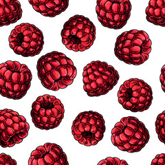 Raspberry seamless pattern. Vector drawing. Isolated berry sketc