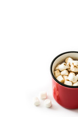 Christmas cocoa with marshmallow in mug isolated on white background. Copyspace
