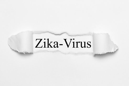 Zika-Virus auf wei&szlig;en gerissenen Papier