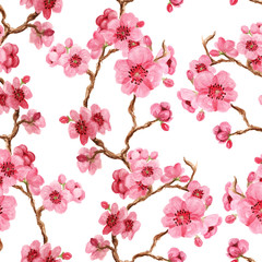 Naklejka premium Seamles pattern with sakura