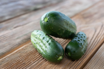 fresh organic mini baby cucumbers ready to eat on a wooden table. close up