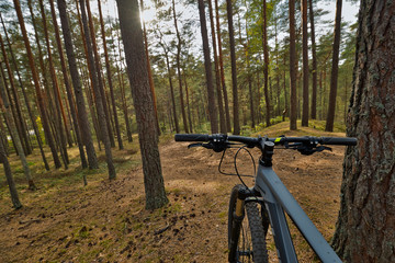 Fototapeta na wymiar mountain bike ride through the forest