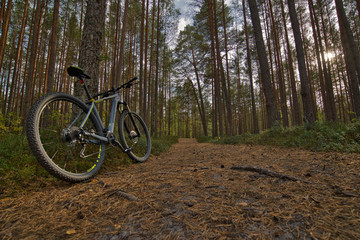 Fototapeta premium mountain bike ride through the forest