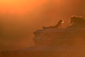 back lit woman with orange sky enjoying the sunset at North Rim, Grand Canyon, Arizona, USA
