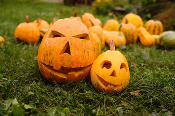 two pumpkins with a carved mouth and eyes - Jack's lights against the backdrop of many pumpkins at the Halloween celebration