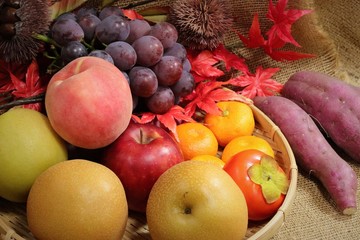 Naklejka na ściany i meble 秋の果物、盛り合わせ