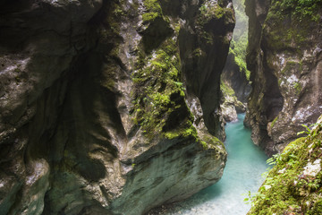 thermal water source in beautiful tolmin gorges in triglav national park, slovenia